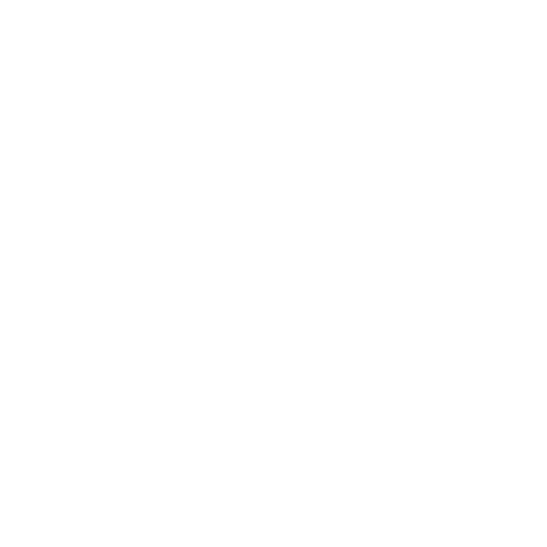 Favicon FeldmannServices e.K.